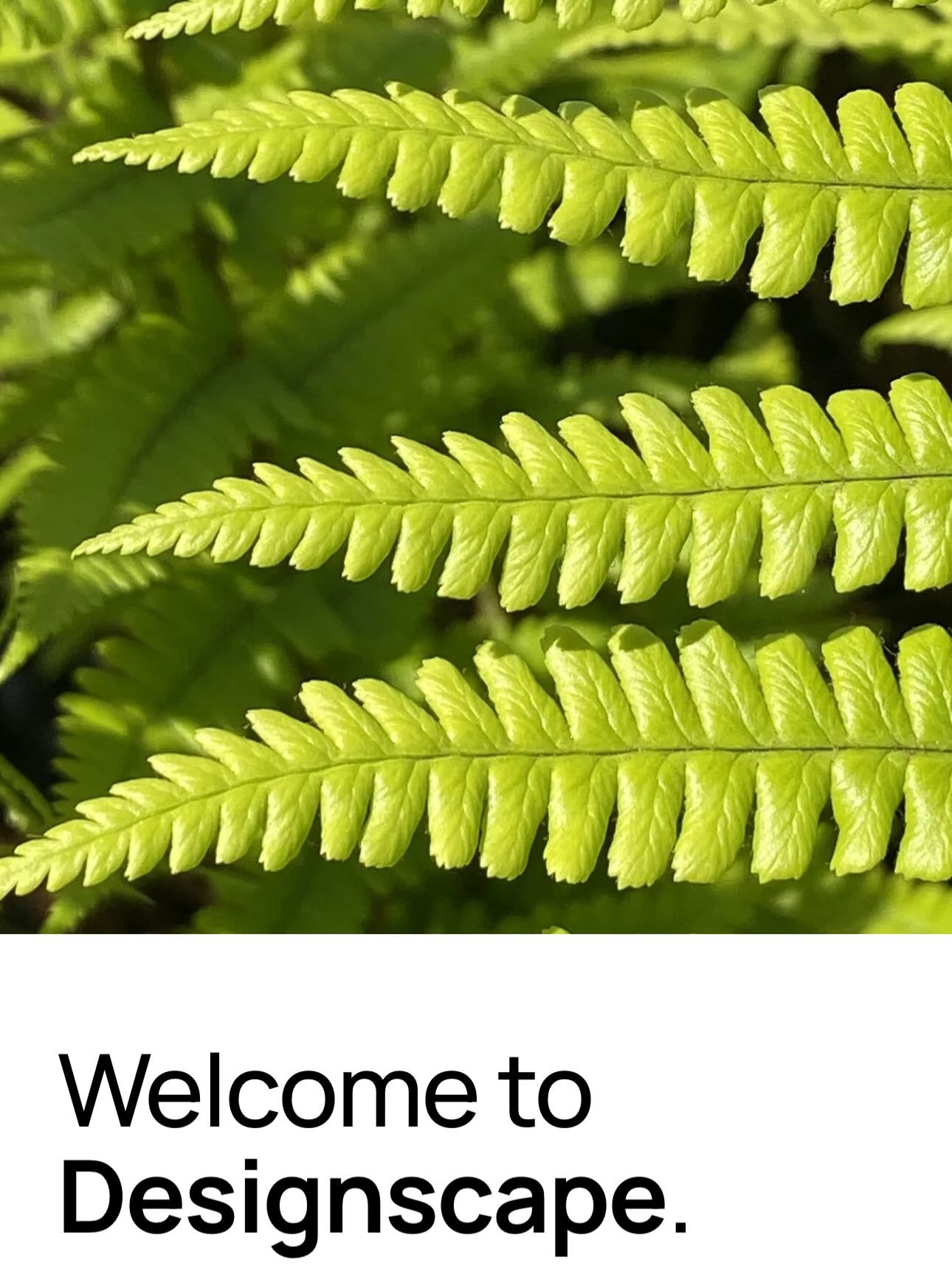 A few screenshots from our new website. Go check it out via the link in our bio. Now is a great time to plan your new garden for outside enjoyment later this year.