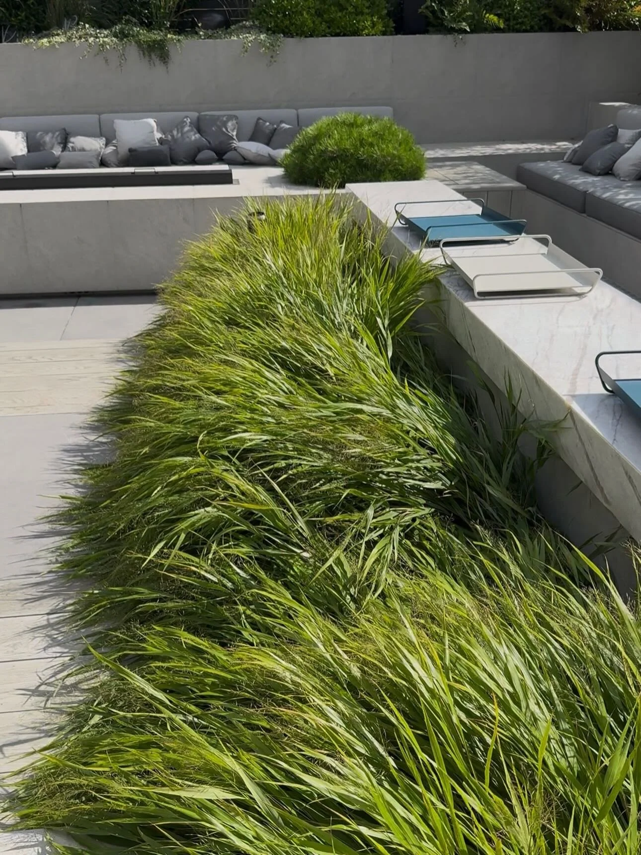 Sometimes less is more&hellip; Here at our multi-award winning Apollo project the bar top rises above a sea of fresh green Japanese forest grass (Hakonechloa macra) making a big impact through mass planting of a single species gently softening the dr