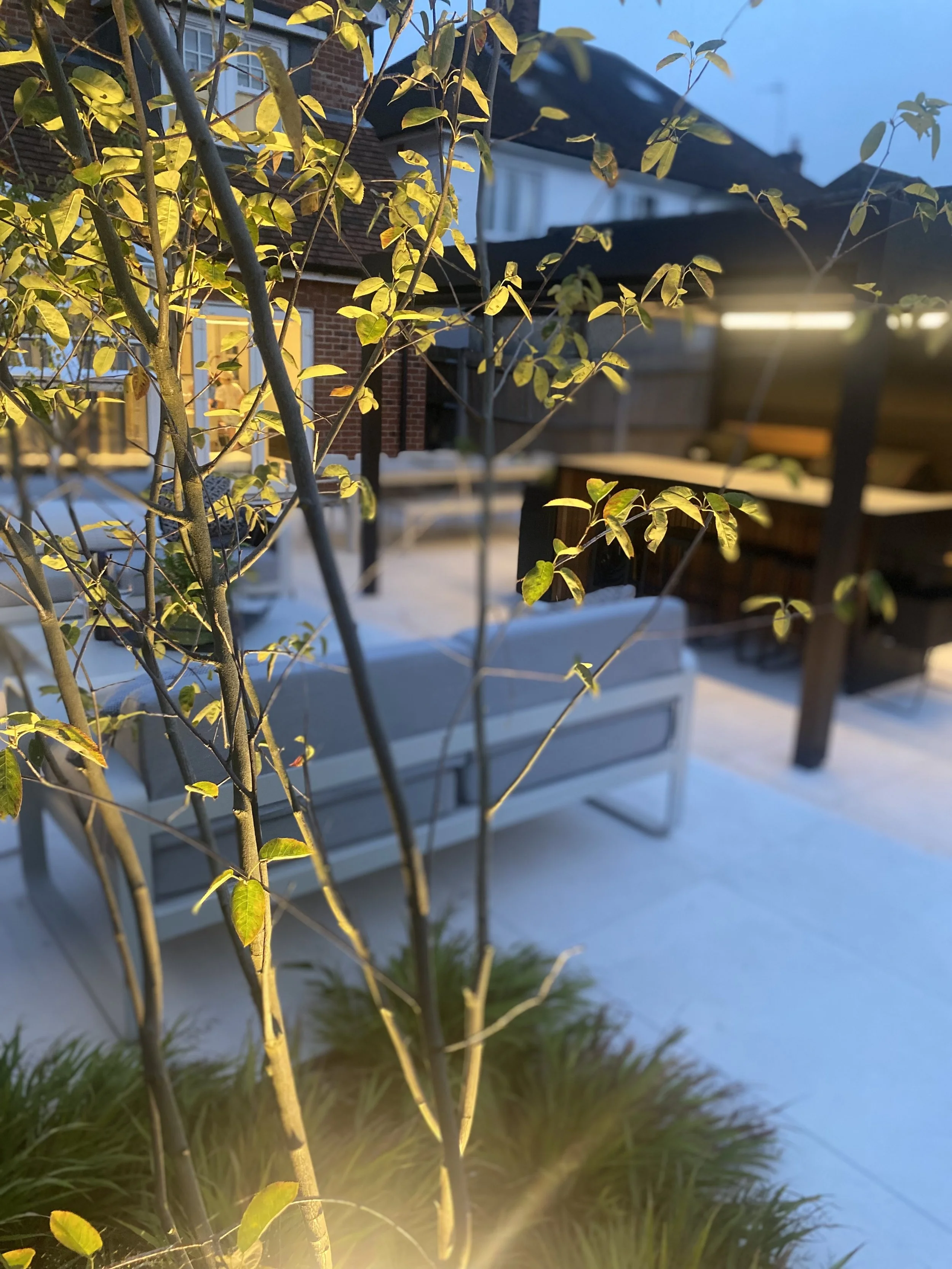 lighting with sofa and canopy