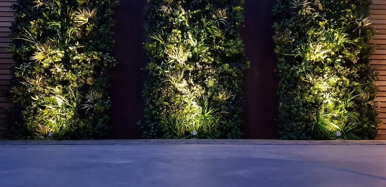 green walls with lighting at night
