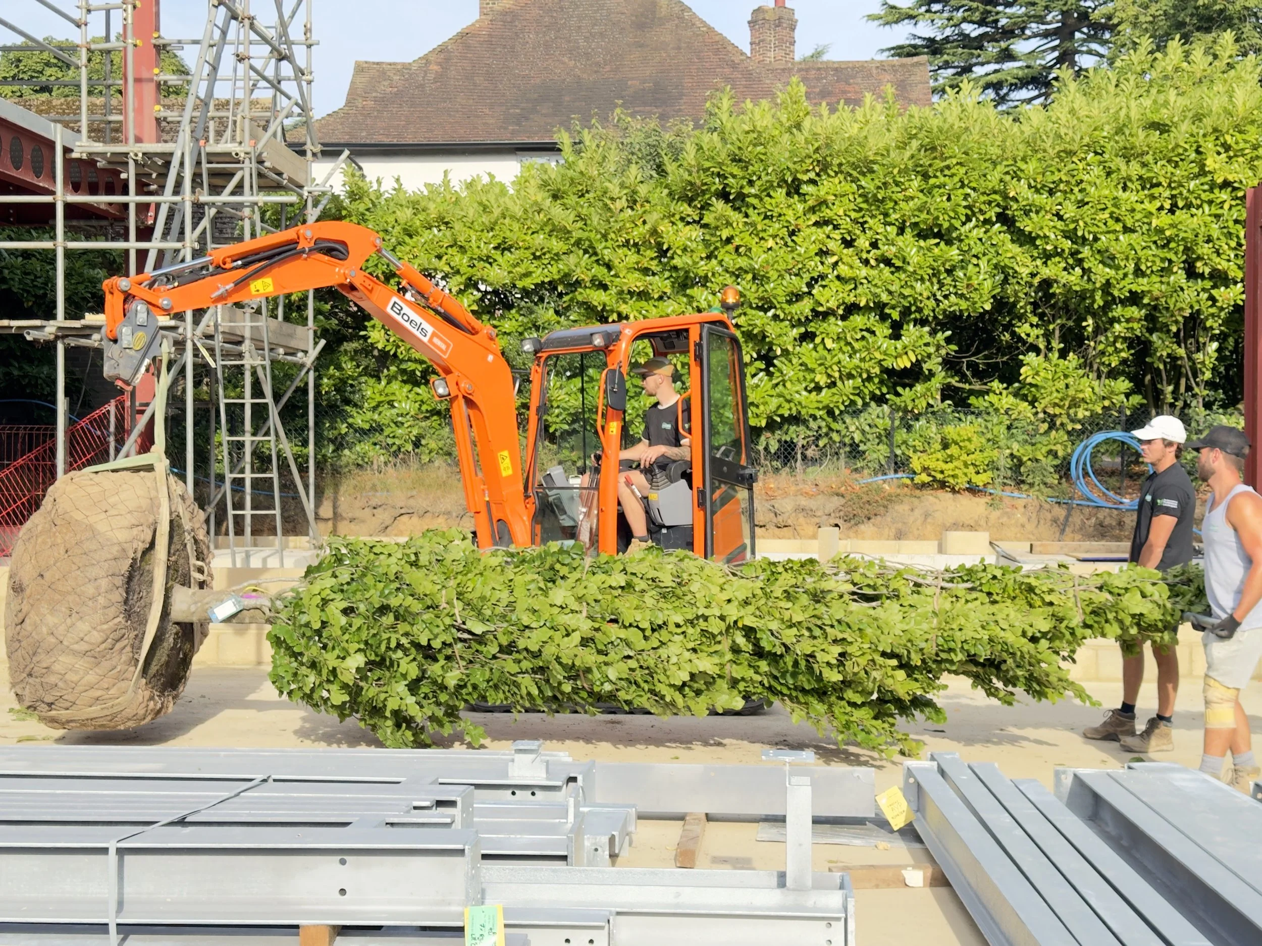 excavator with large tree