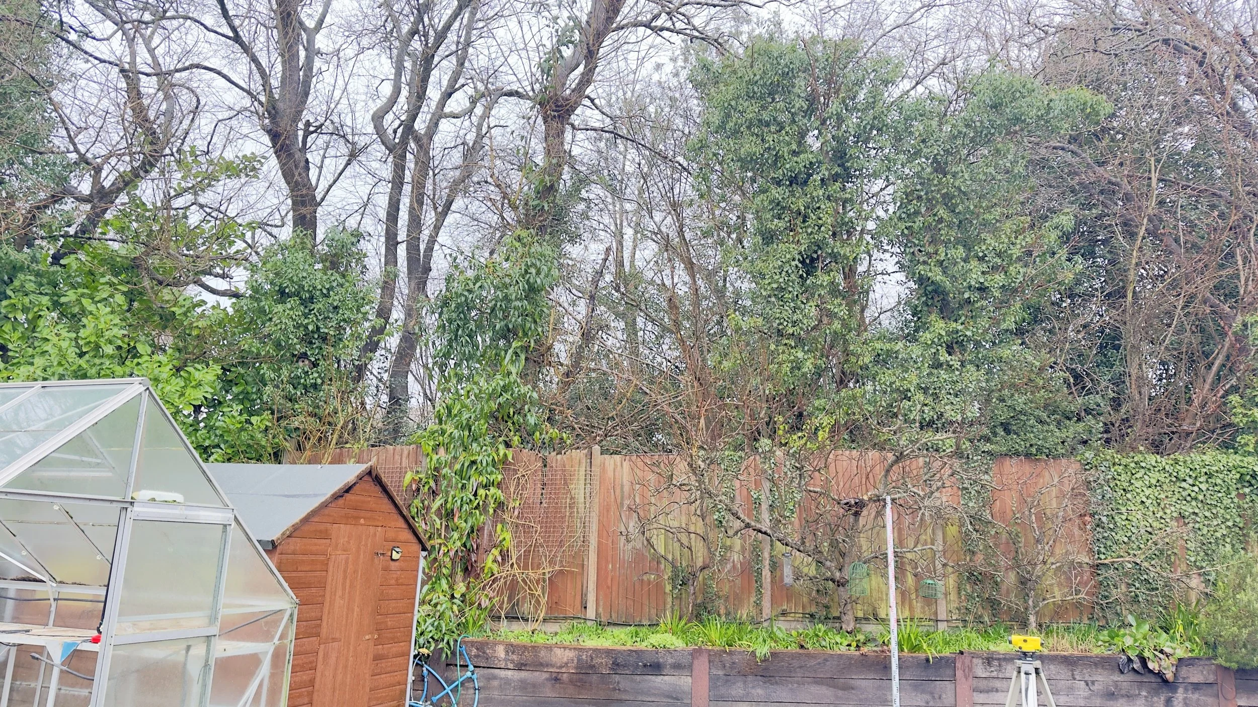 Backyard garden with trees, a wooden shed, a fence, and a greenhouse, under a cloudy sky.