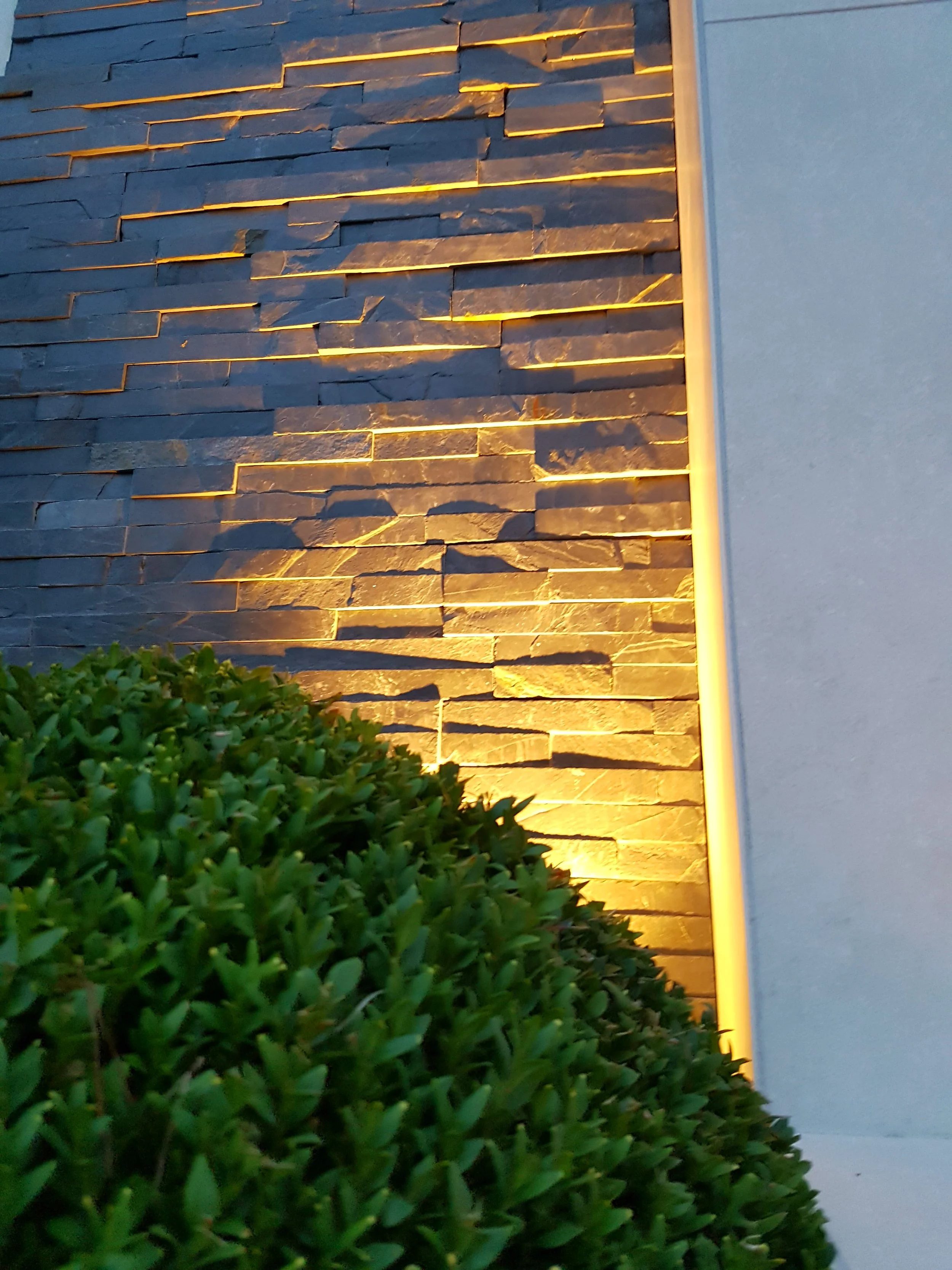 slate wall with lighting and shrub