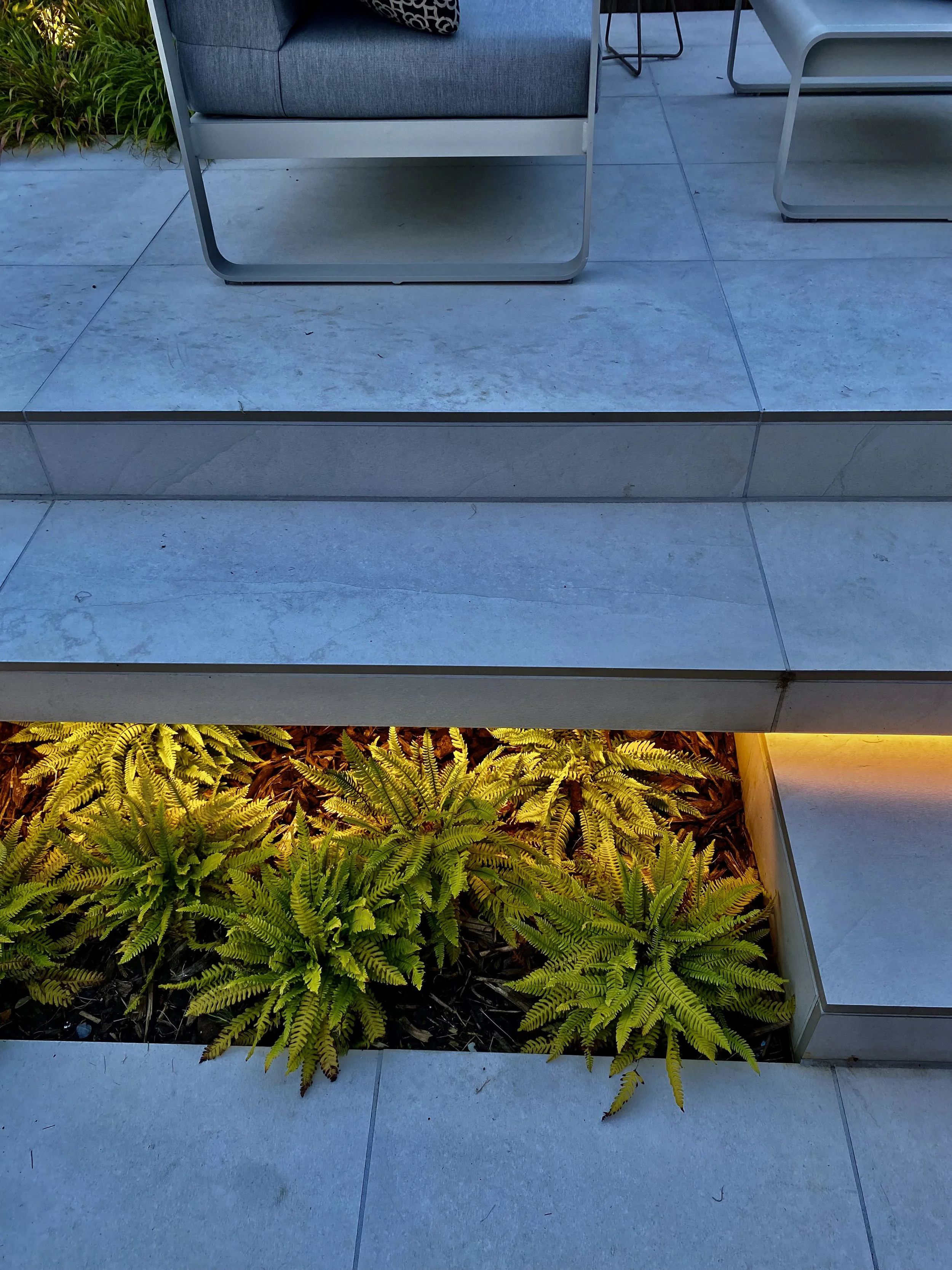 floating step with ferns