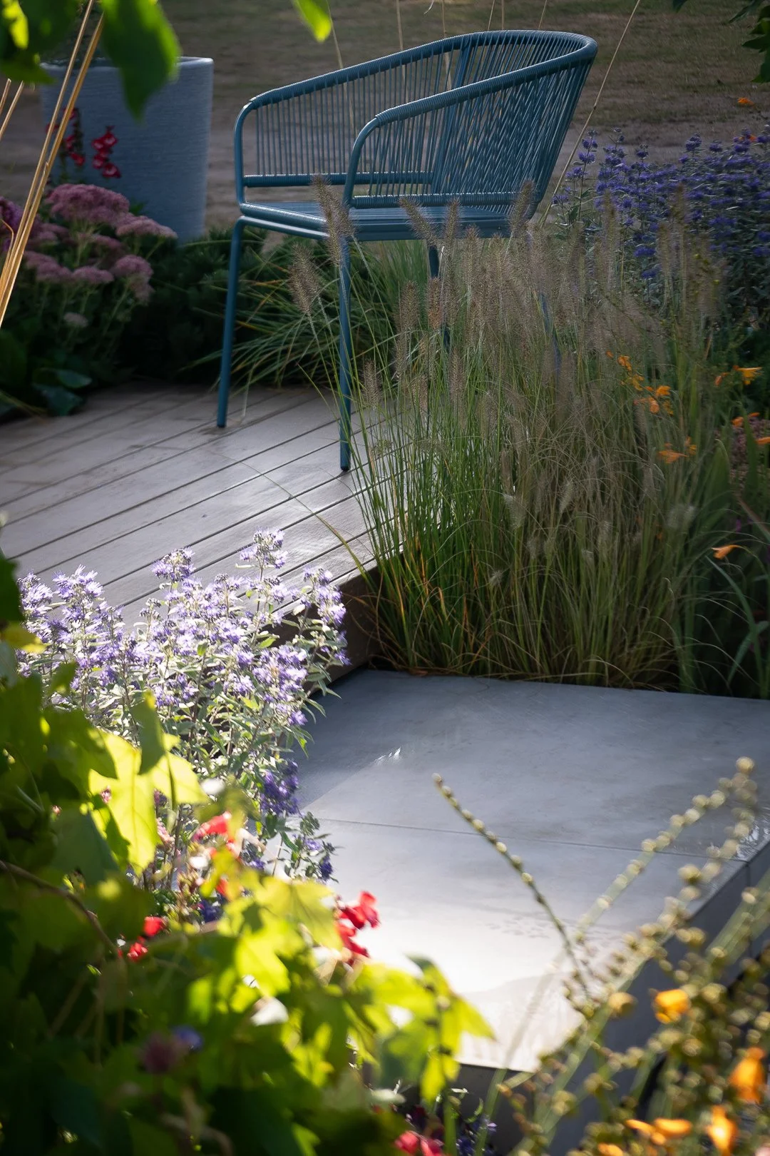 soft sunlight on plants