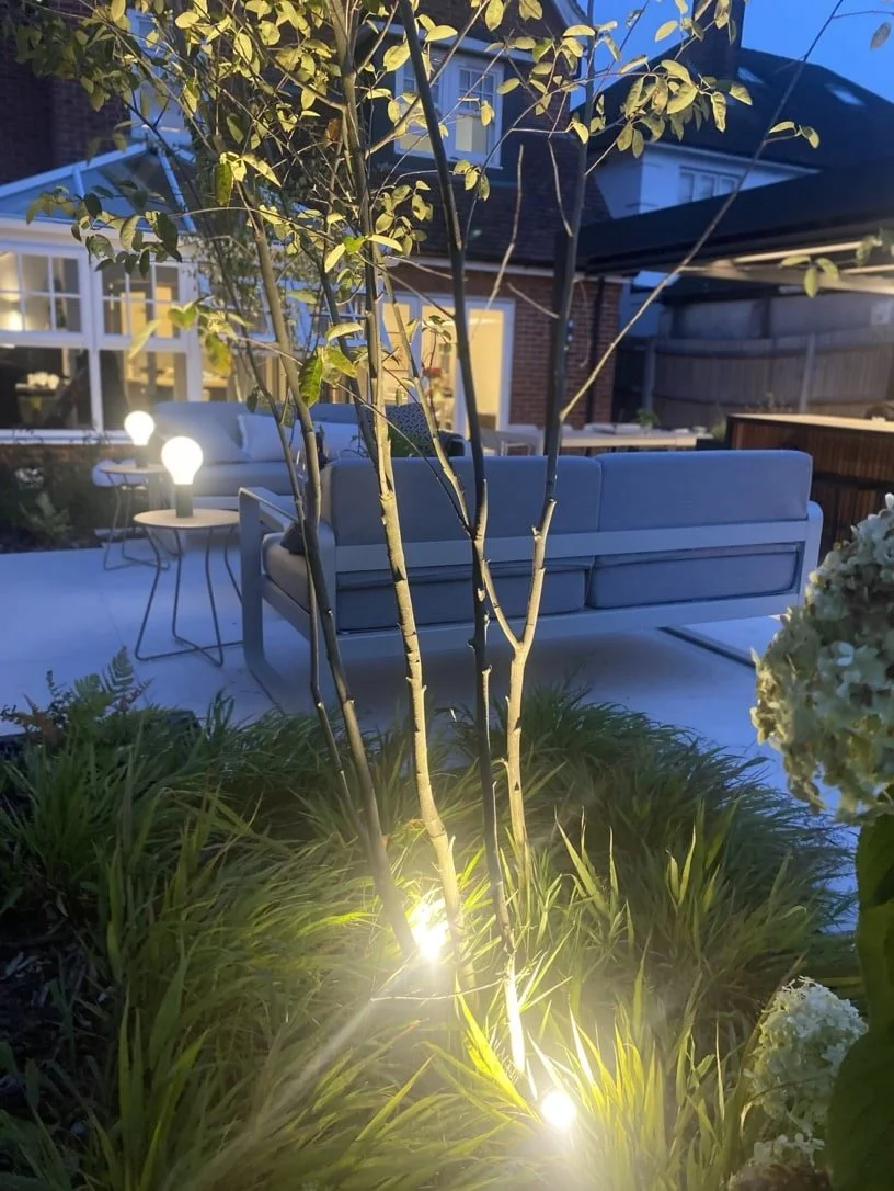 upper patio and planting 
