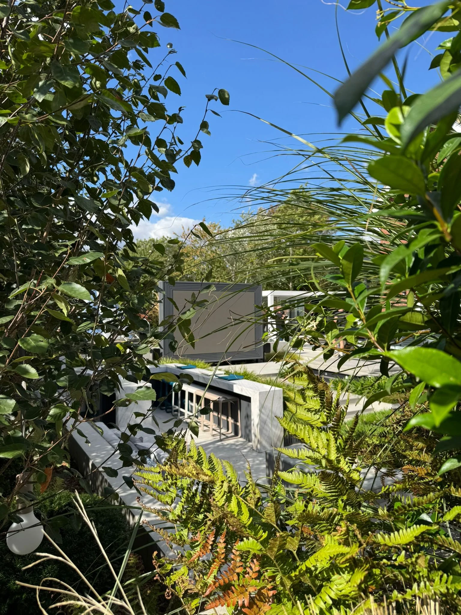 view through planting 2