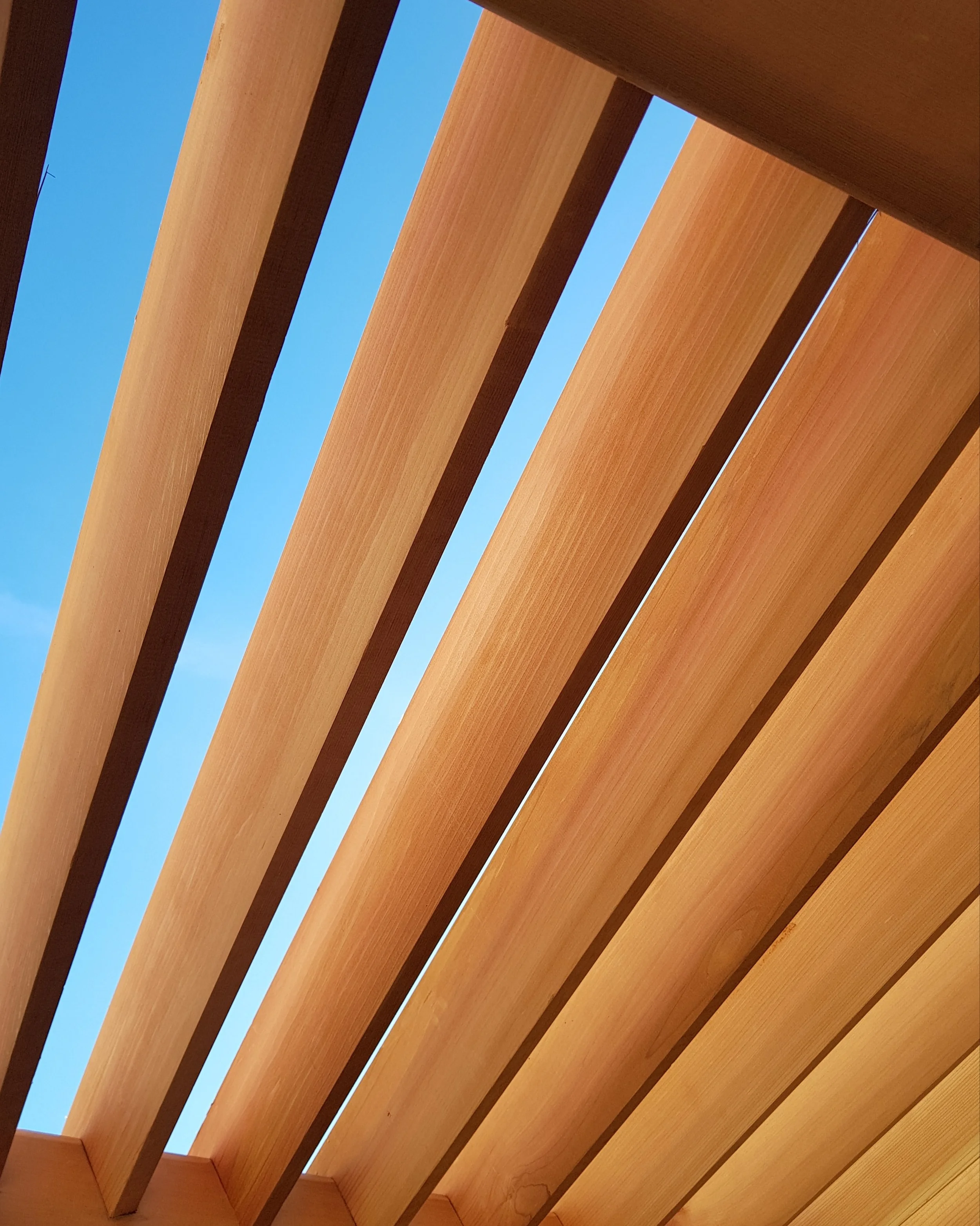 slatted cedar pergola roof against blue sky