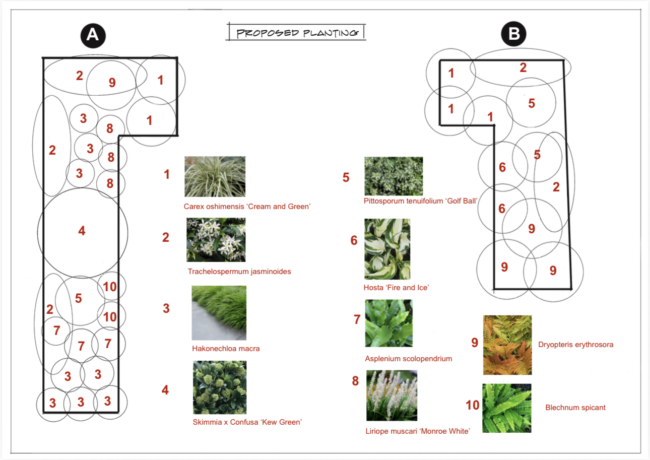 A garden planting plan with two sections labeled A and B, showing different plants with numbers and images of each plant along with their scientific names.