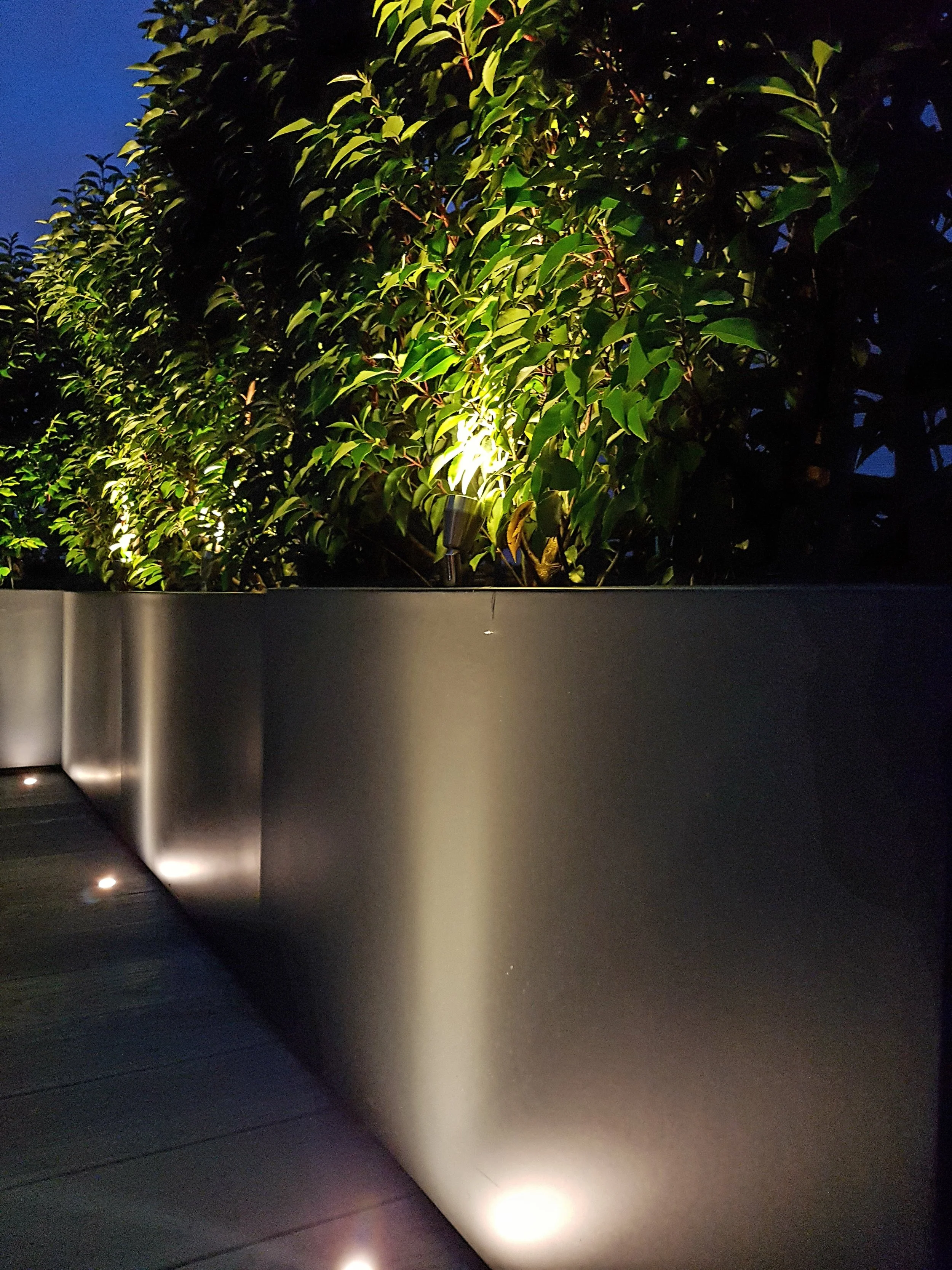 planters at night