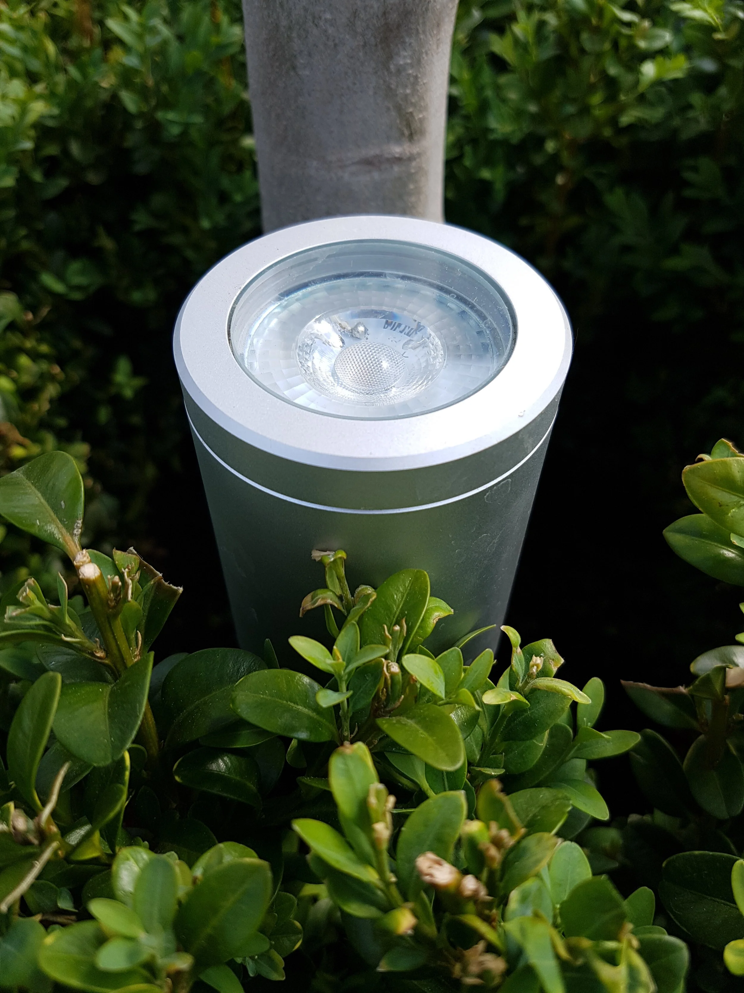 collingwood uplighter