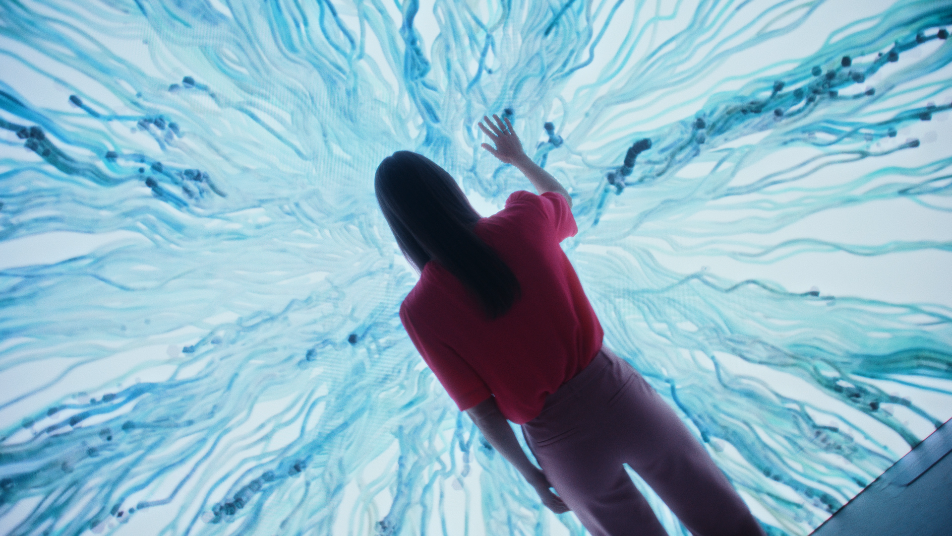 Porsche Slovenia 30 years