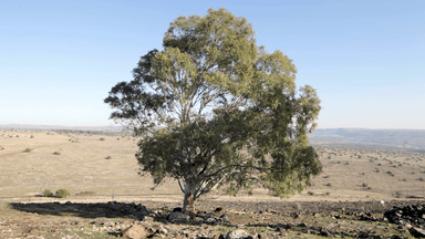 untitled_landscape (1080p).gif