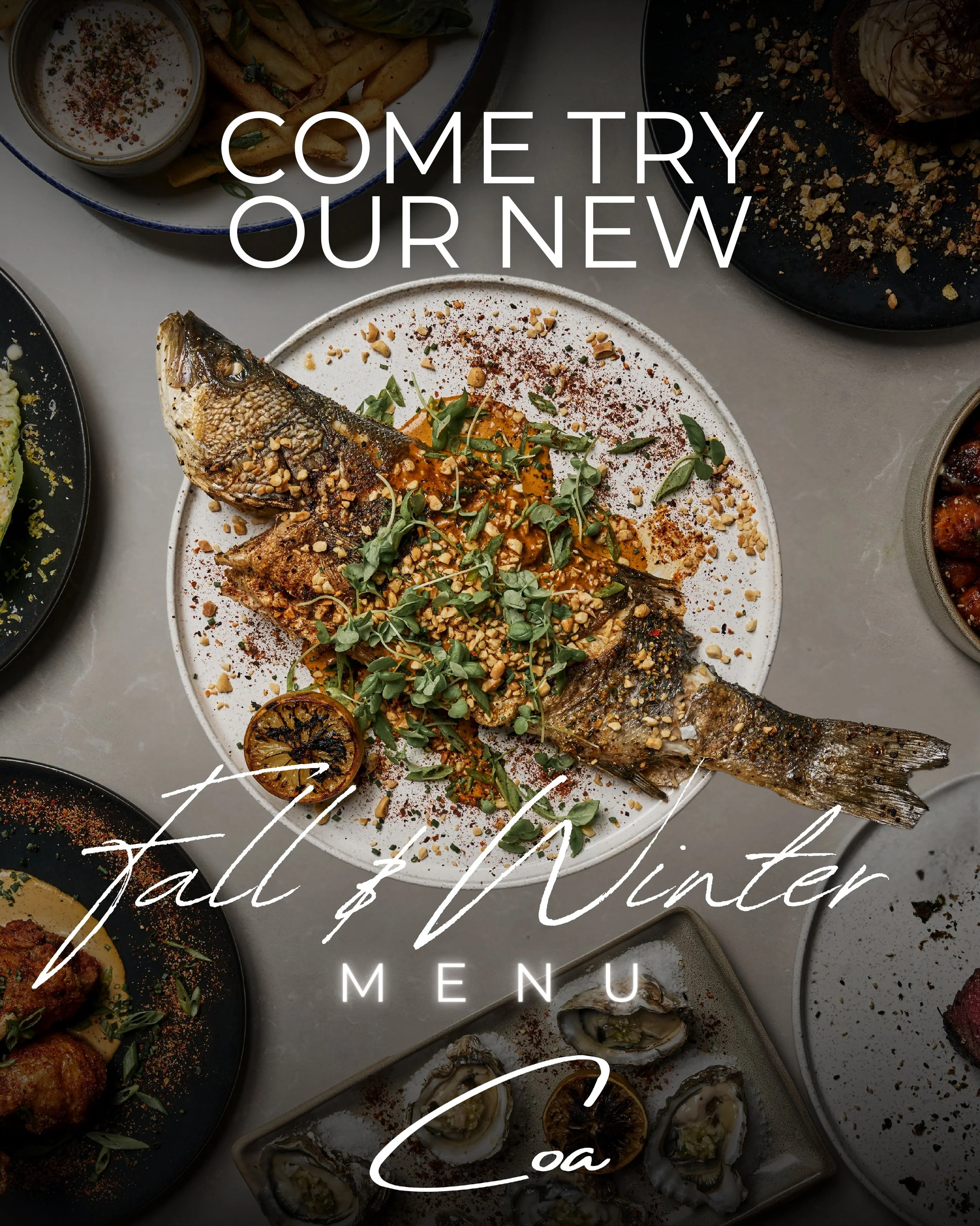 FINALS COA GRAPHICS APPROVED_page-0008.jpg