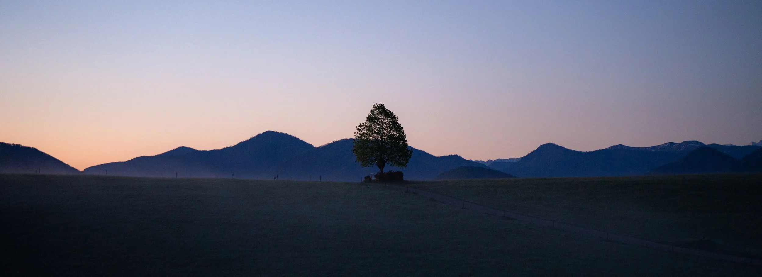 Single tree in the sunrise with mountains, Nockstein Salzburg