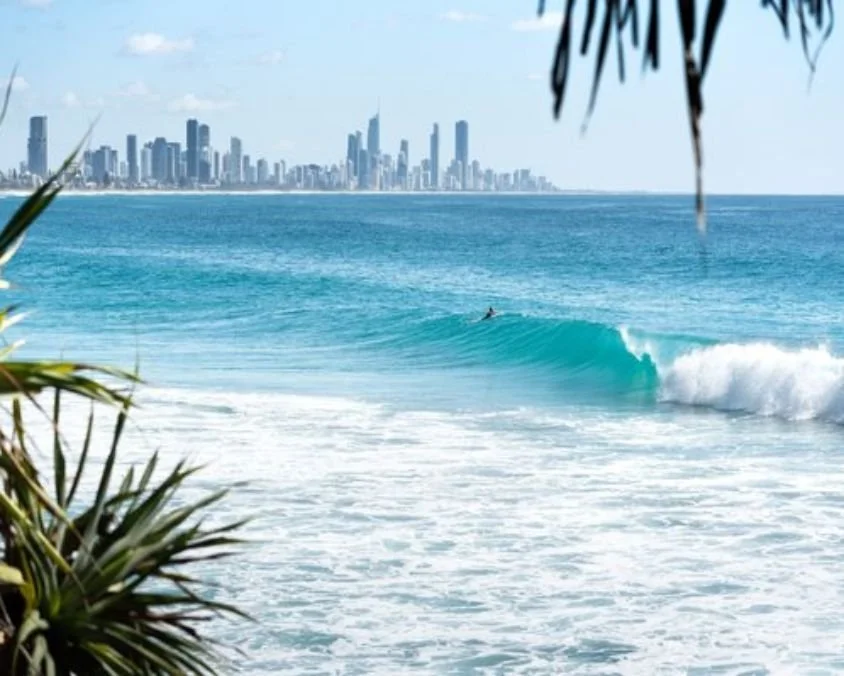 View of the Gold Coast skyline in the distance across the ocean, with a surfer riding a wave in the foreground and tropical plants framing the scene.