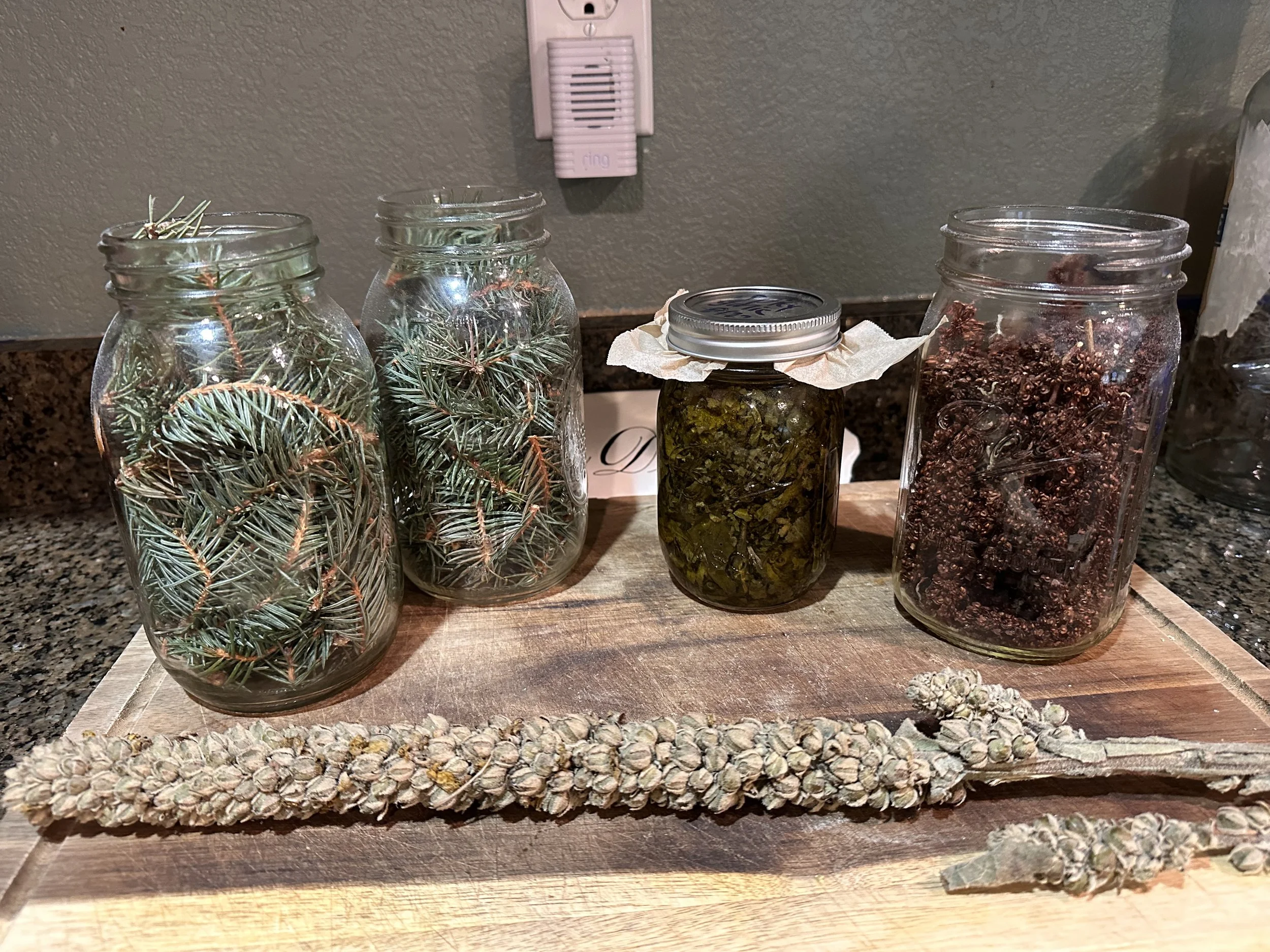Three glass jars filled with pine branches, a jar with preserved herbs or greens with a paper towel cover, another jar with dried herbs or flowers, all arranged on a wooden board on a kitchen countertop.