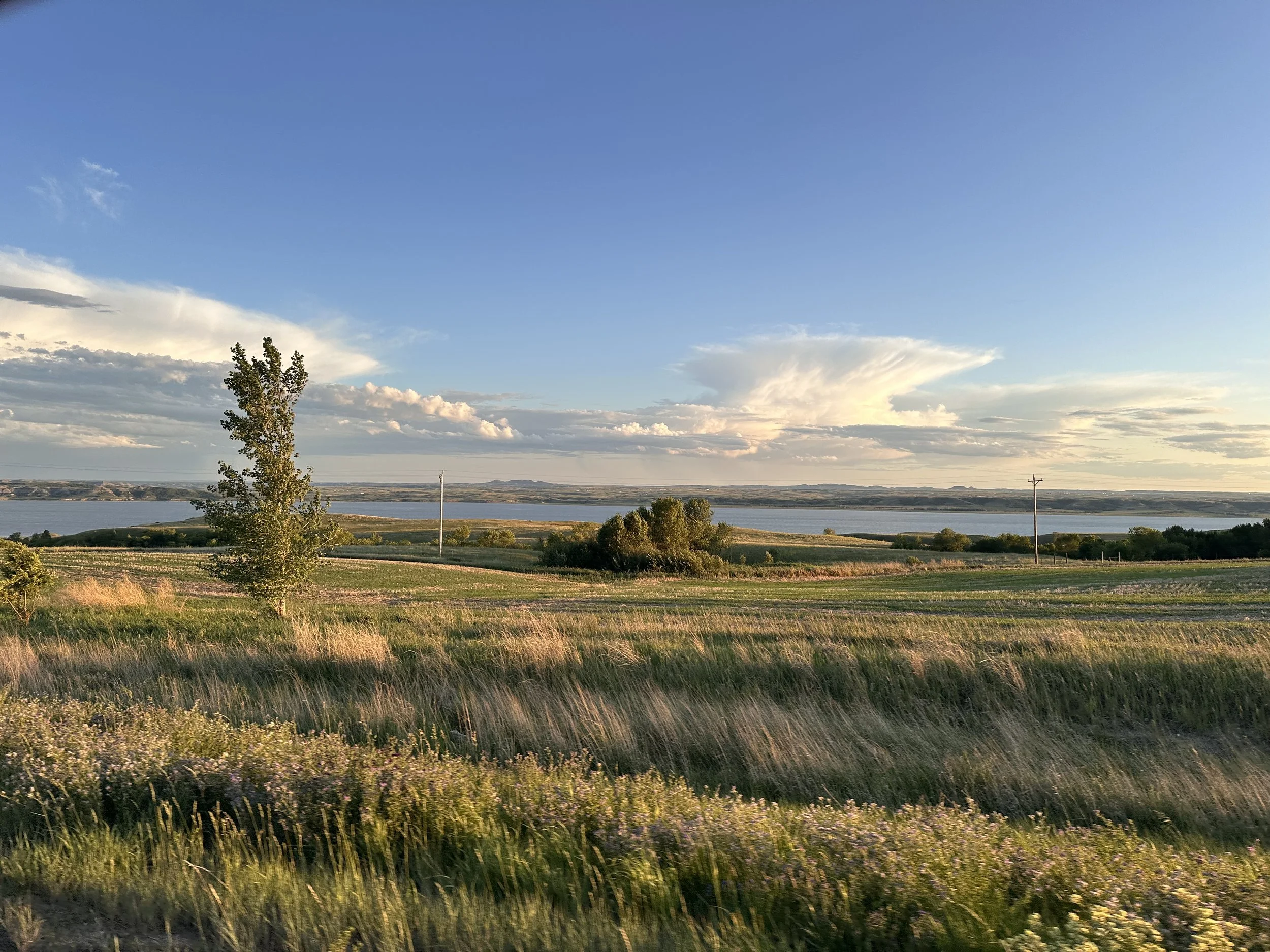 A scenic rural landscape with grassy fields, a river in the background, a few scattered trees, and power lines under a clear blue sky with some cloud formations.
