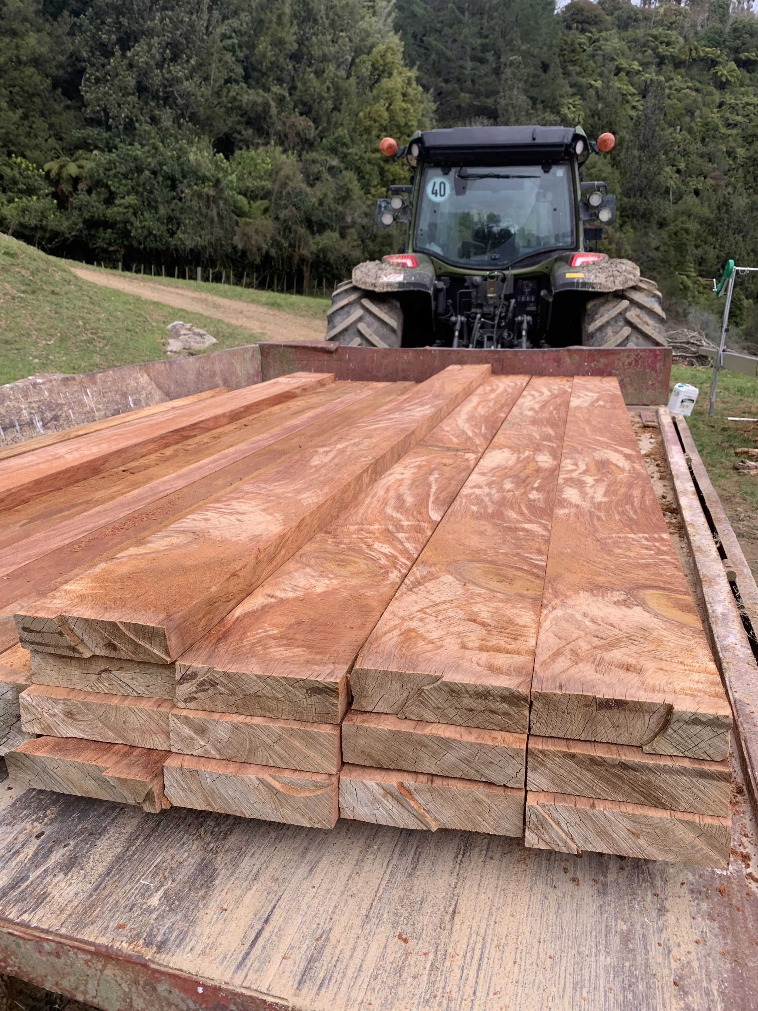 Native and Exotic Timber Supply