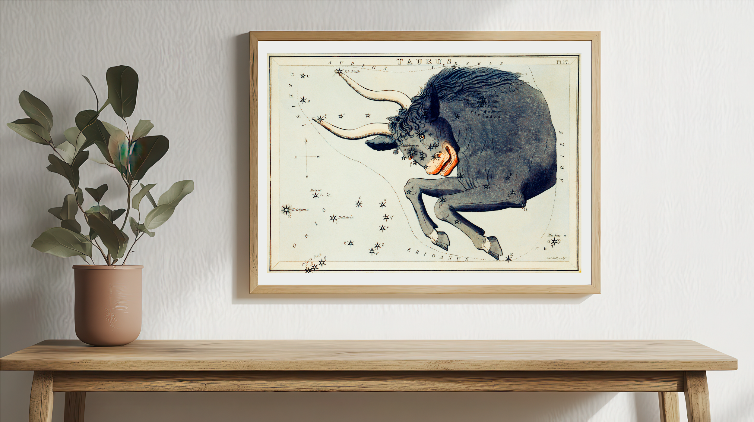 Taurus Constellation Poster – Zodiac-Inspired Vintage Star Sign Map Print