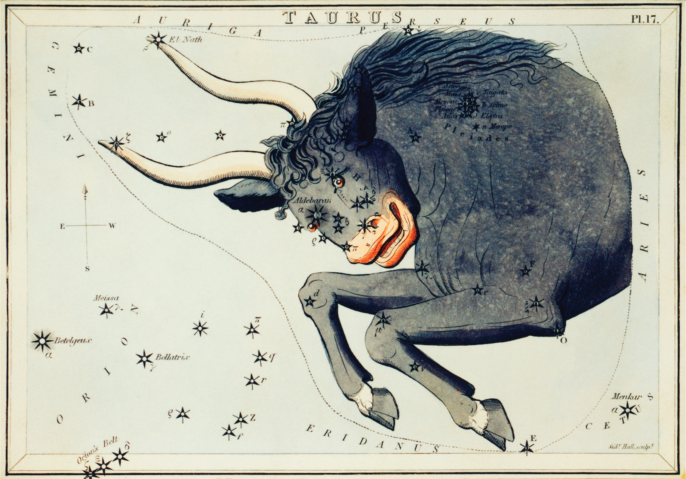 Taurus Starsign bull zodiac vintage antique artprint
