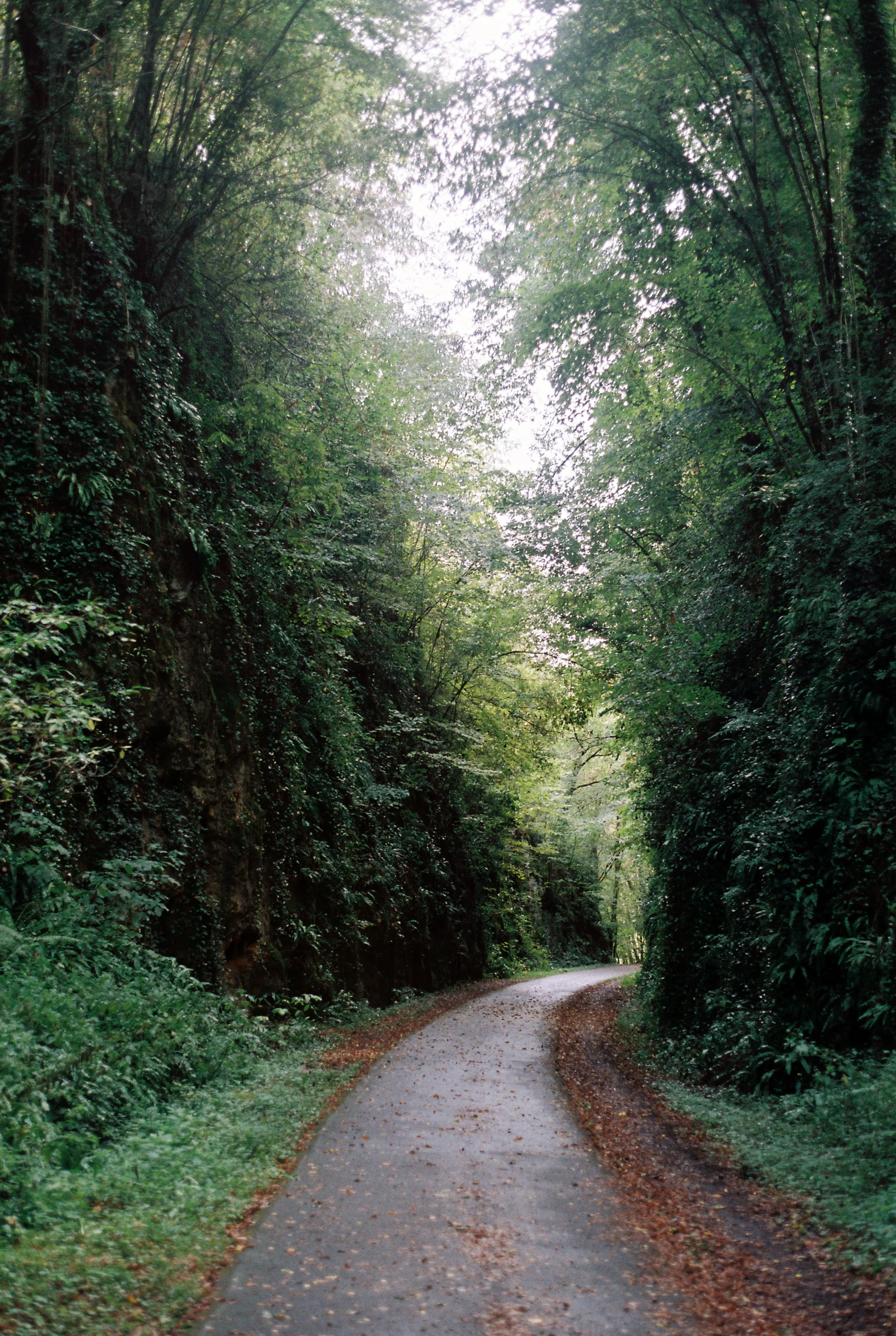 R1-01177-032A.jpg 2.jpg