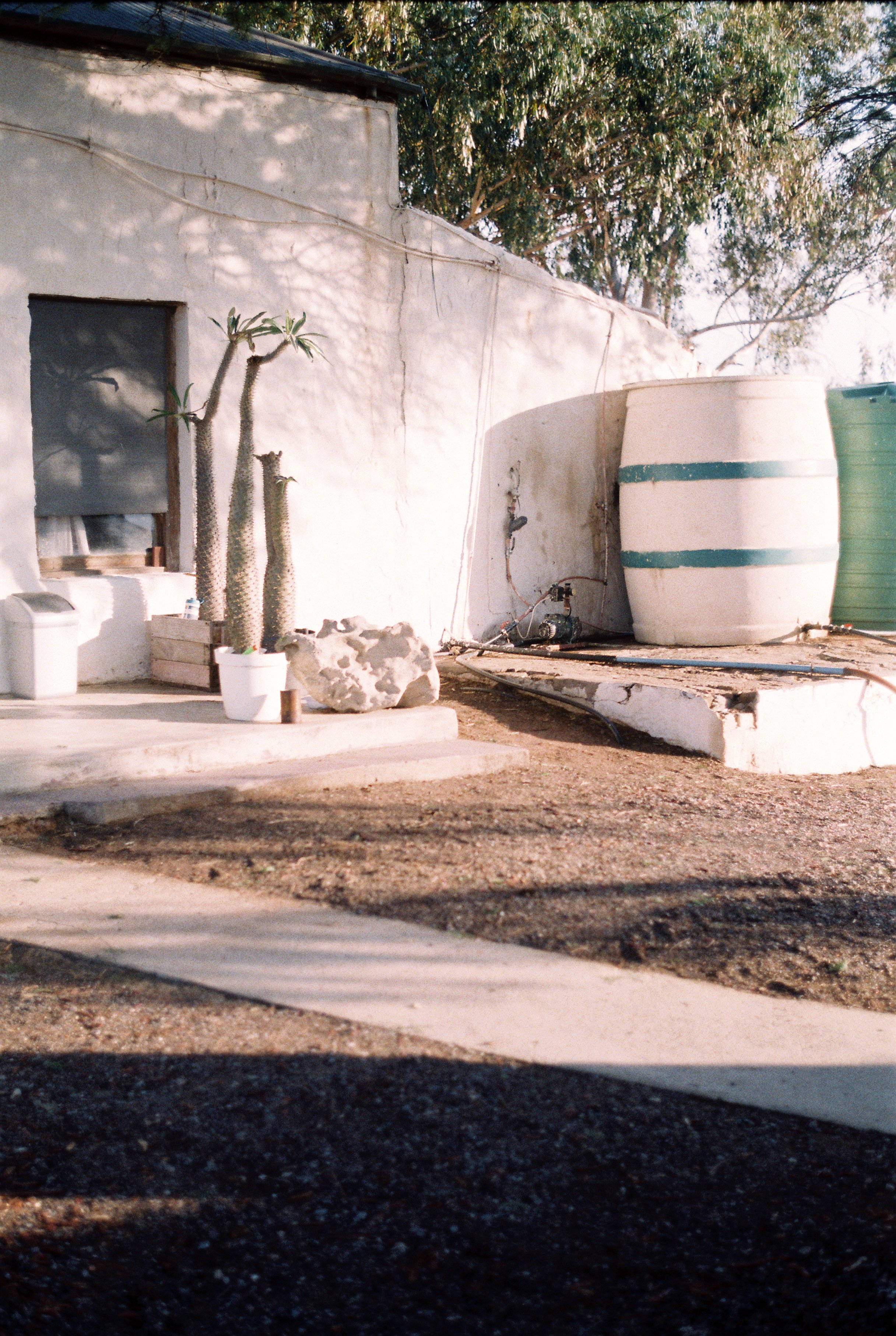 R1-06022-0013.jpg 2.jpg