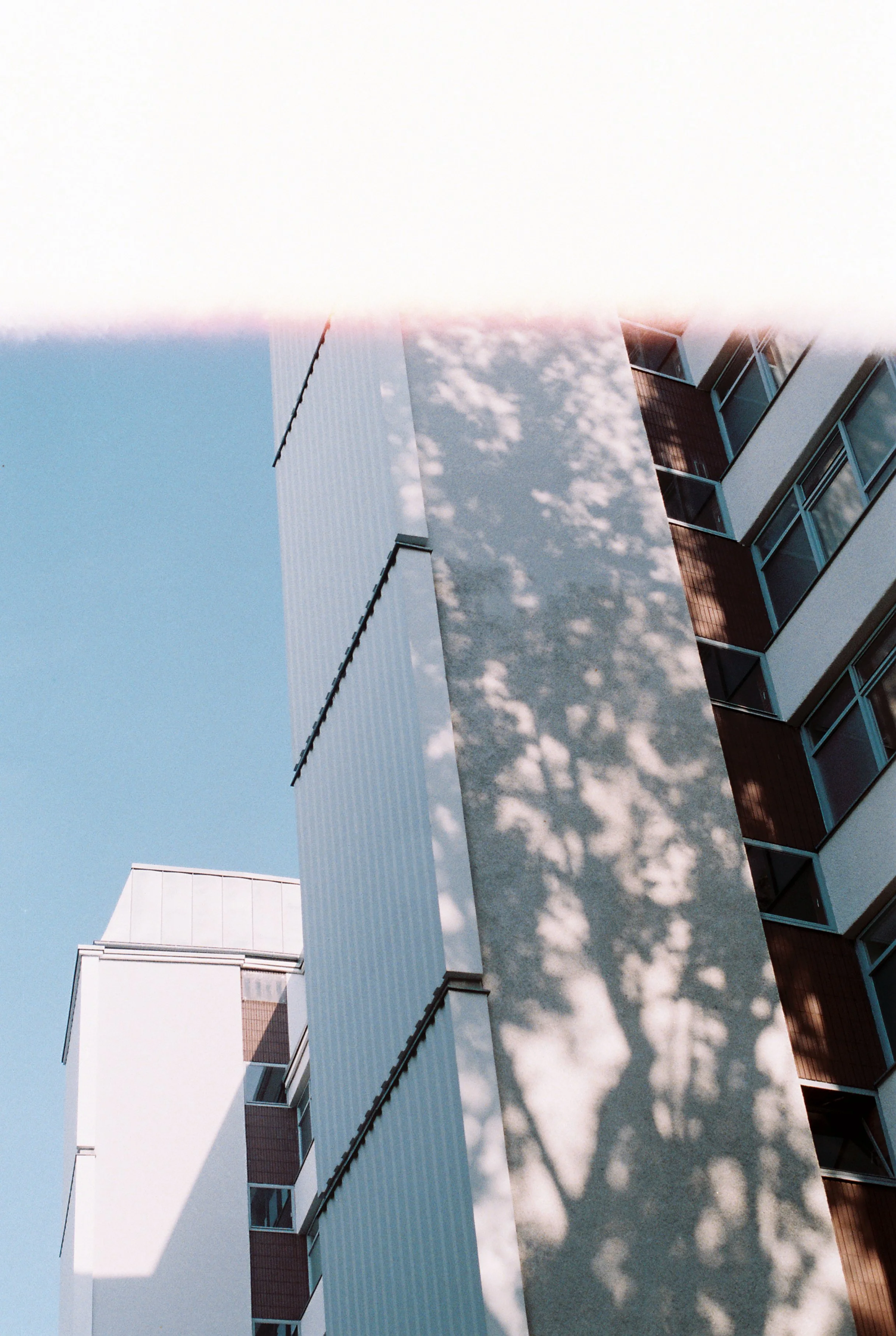 R1-09596-0000.jpg 2.jpg