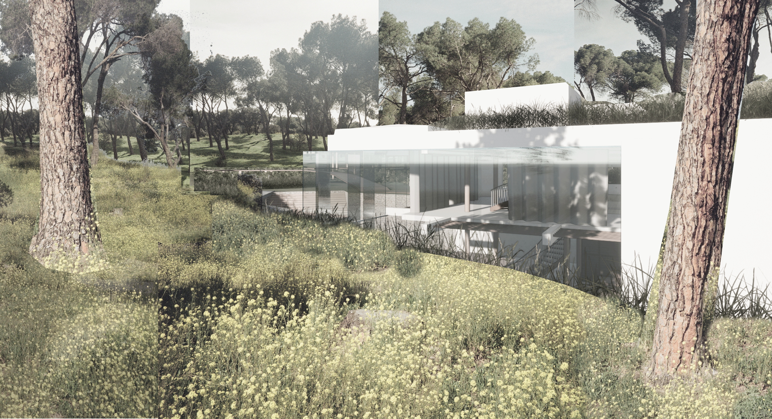 Design Madrid | 2024