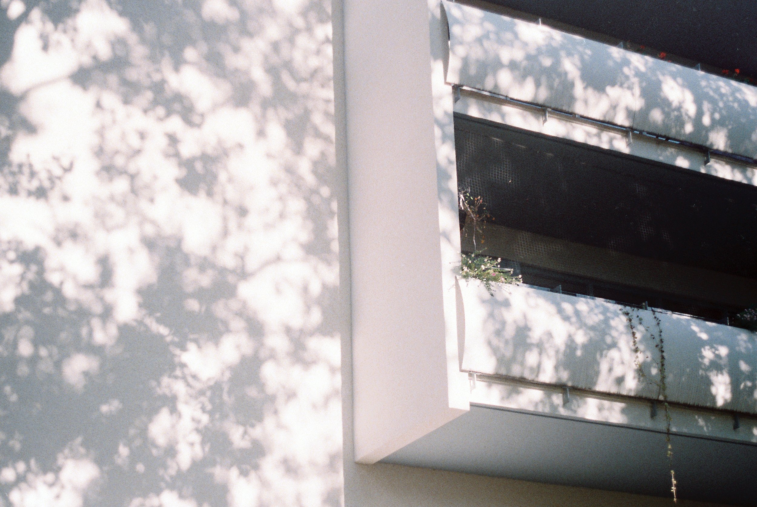 R1-09599-0036.jpg 2.jpg