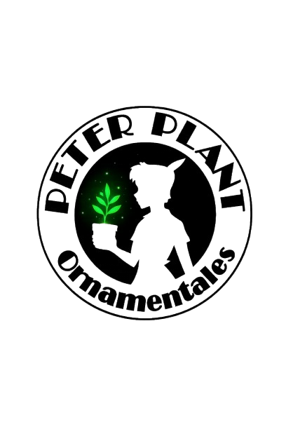 Logotipo circular con el texto 'Poder Dival' y 'Empowerment'.Tiene una figura de una niña con un gorro, una planta brillante y un cubo con la planta dentro.