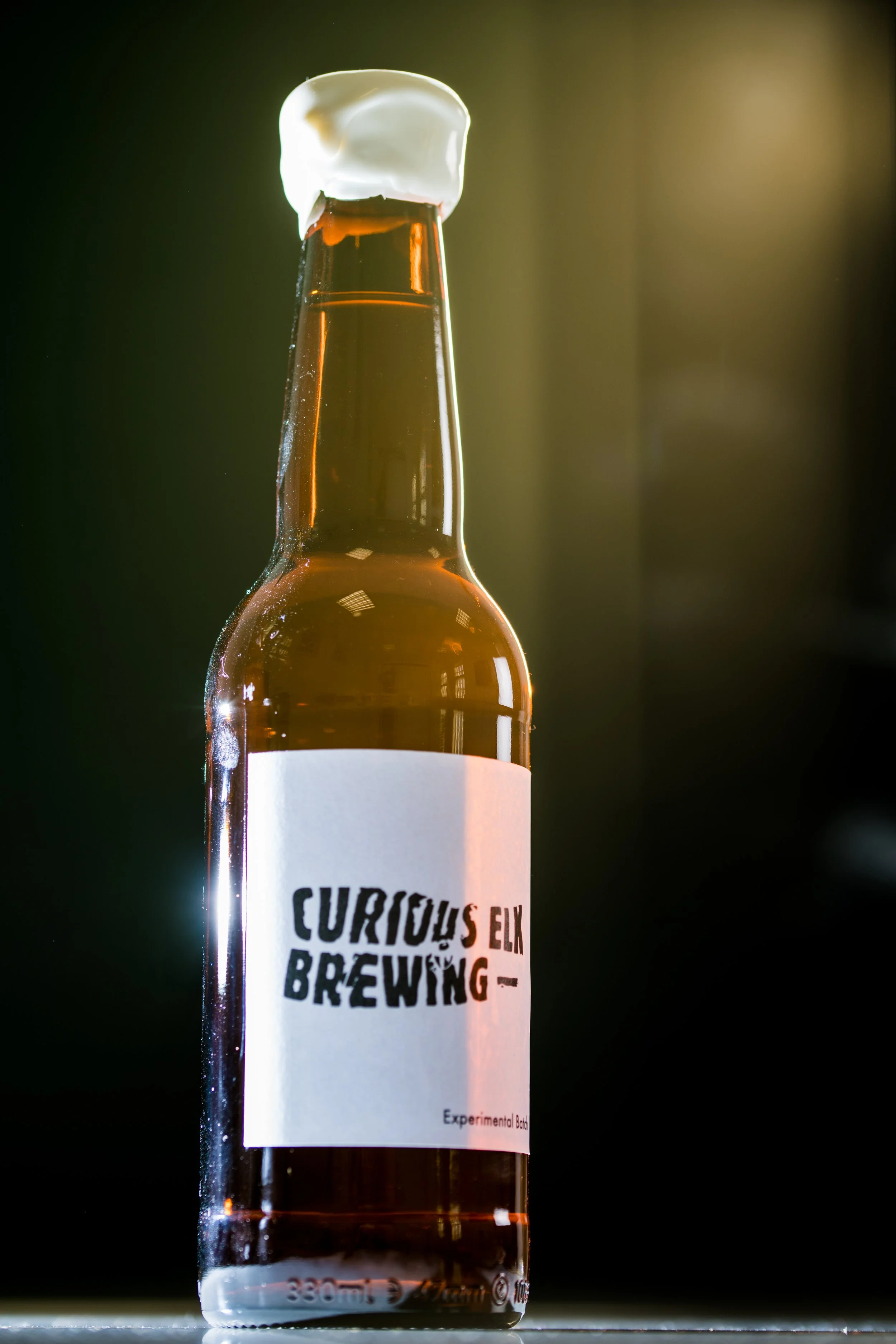 curious brew - GHOST-2.jpg