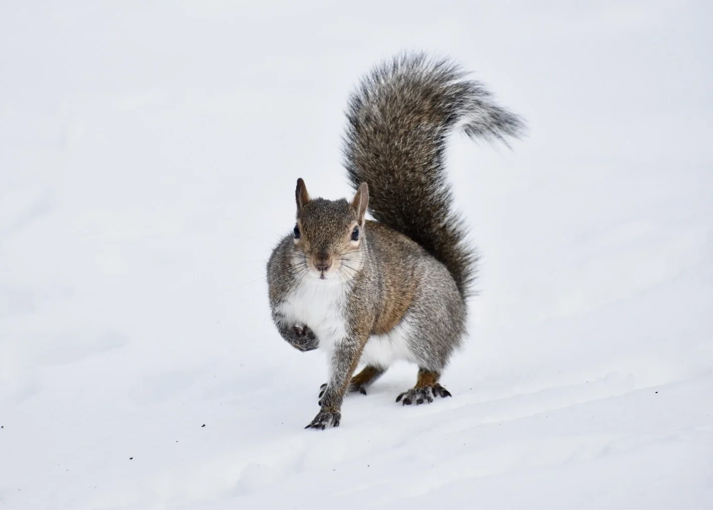 DSC_0569.jpg