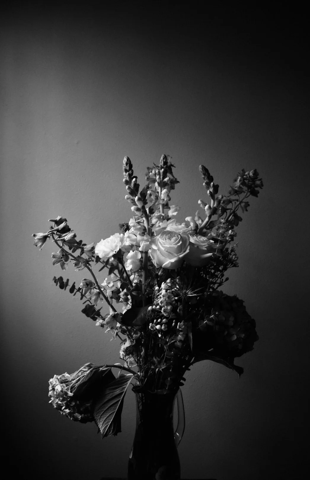 DSC_2040.jpg