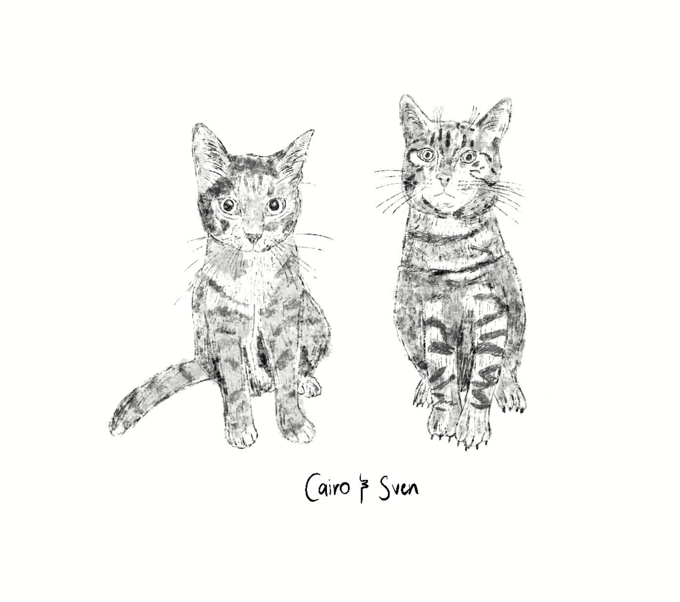 Screenshot 2025-08-21 at 5.24.55 PM.png