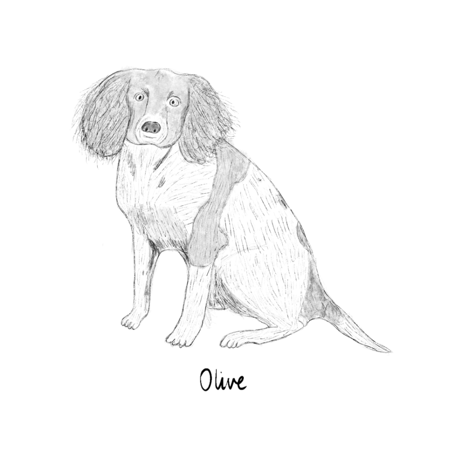 Screenshot 2025-08-21 at 5.25.25 PM.png