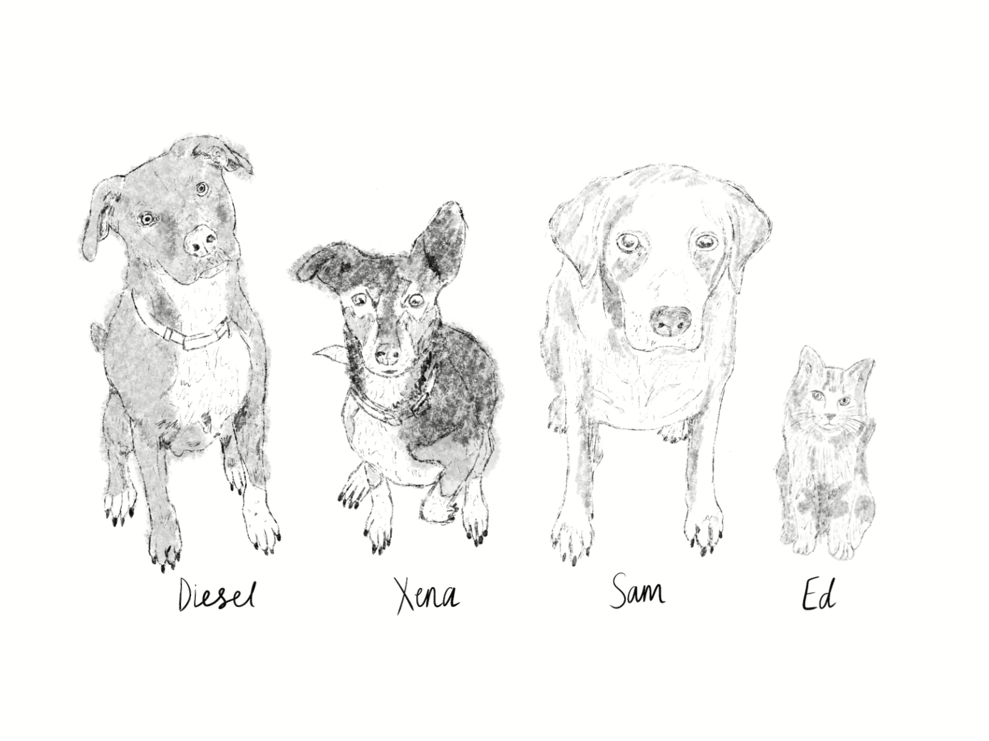 Screenshot 2025-08-21 at 5.25.52 PM.png