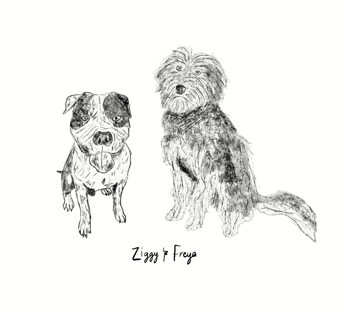 Screenshot 2025-08-21 at 5.25.01 PM.png