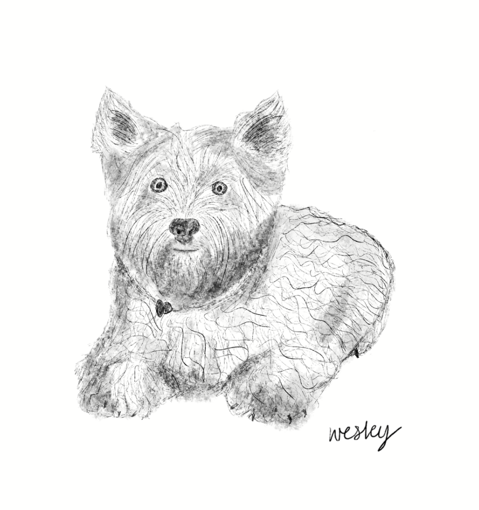 Illustration of Wesley