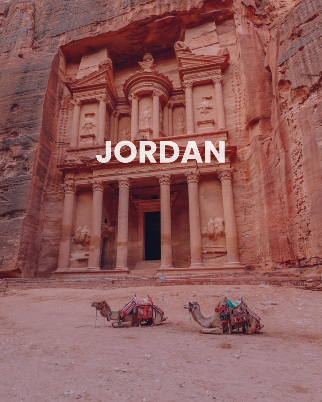 The image shows the ancient city of Petra in Jordan, featuring the Treasury building carved into a sandstone cliff, with two camels resting on the ground in front of it.