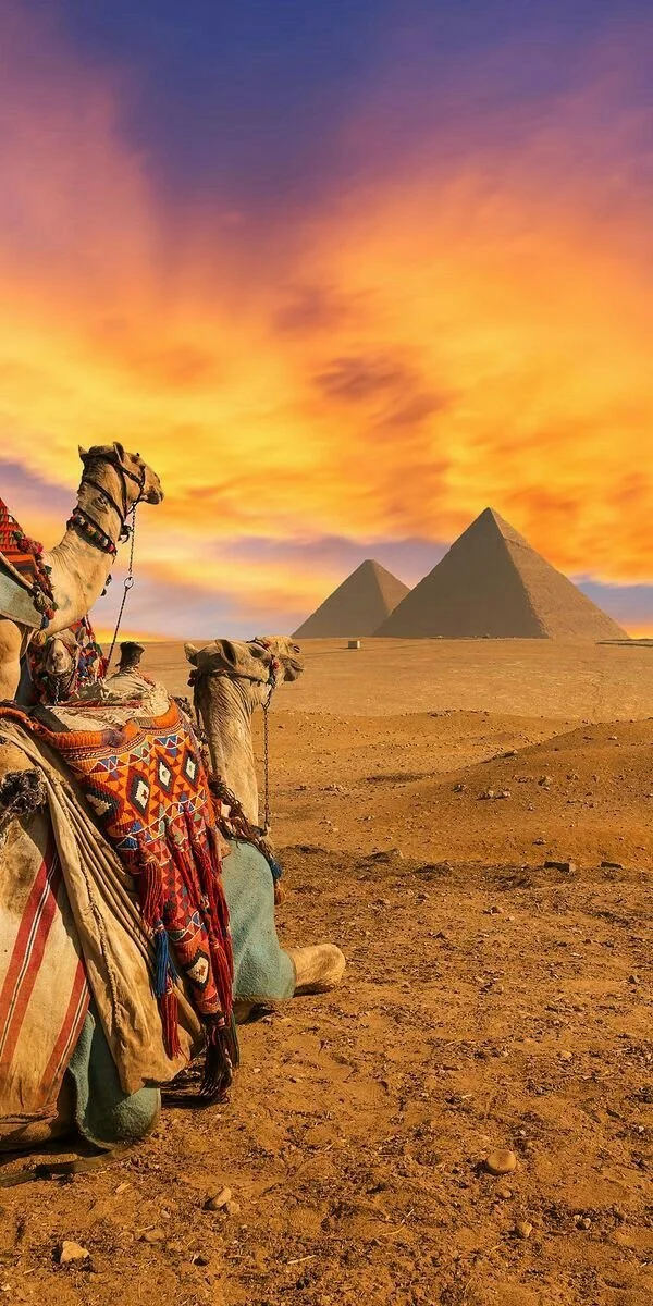 DESSC | CAIRO
