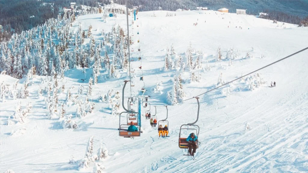 BARDONECCHIA | DWIGHT