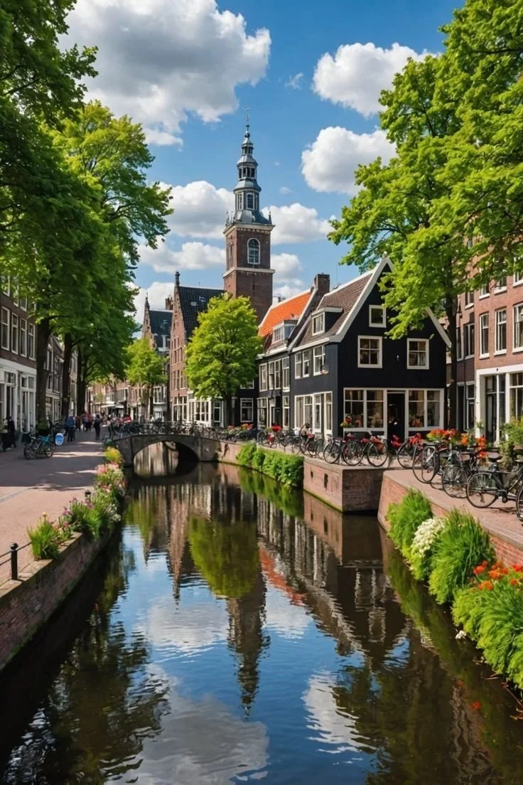 Five Reasons To Visit Rotterdam.jpeg