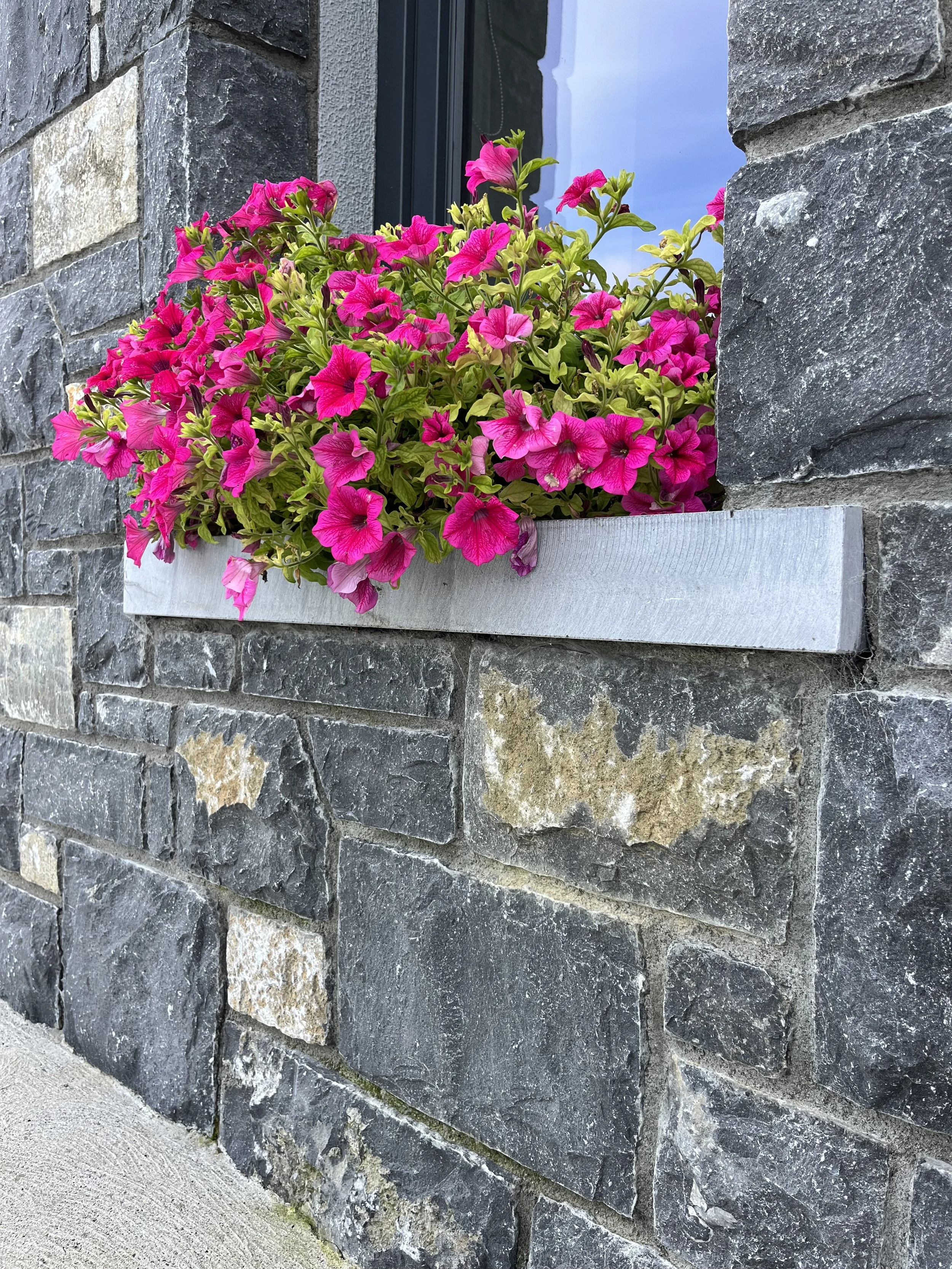 A stone brick wall with a window ledge in the center. A window with black framing is visible in the background, and a pot of pink flowers is placed on the windowsill. The flowers are vibrant and abundant, with some petals slightly wilted. The wall is made of dark and light gray stones of irregular shapes.