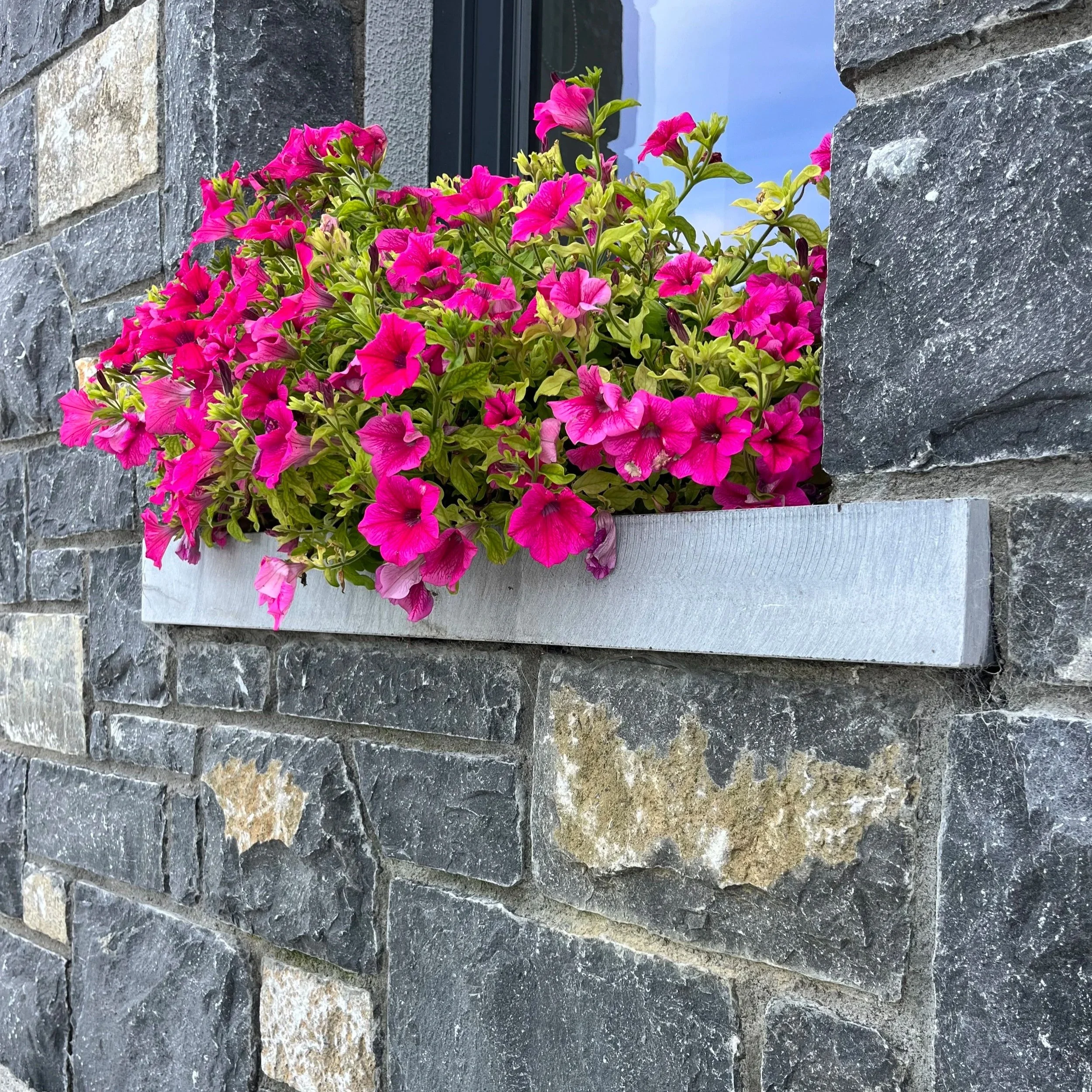 Pink and purple flowers in a window box against a stone wall.
