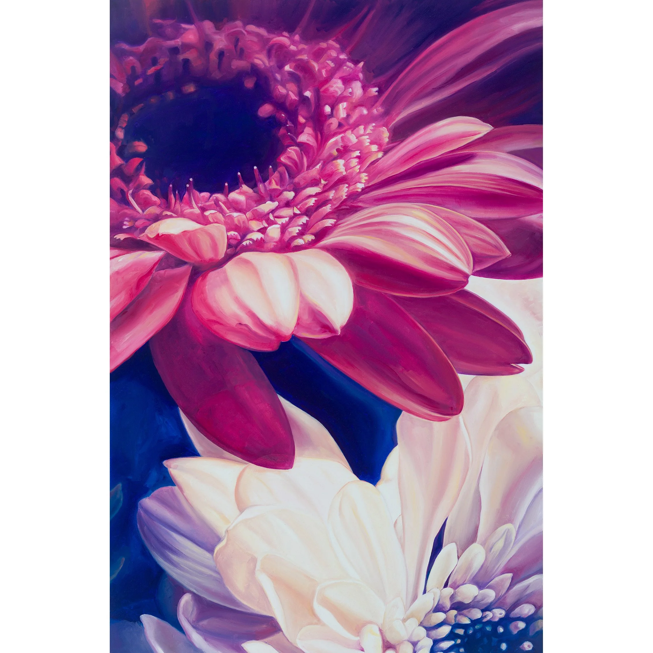 Pink and white flowers. Original oil painting.