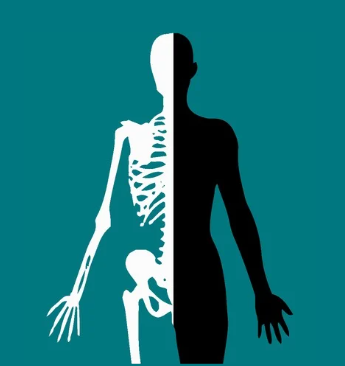 A la découverte de ton squelette en 4 journées