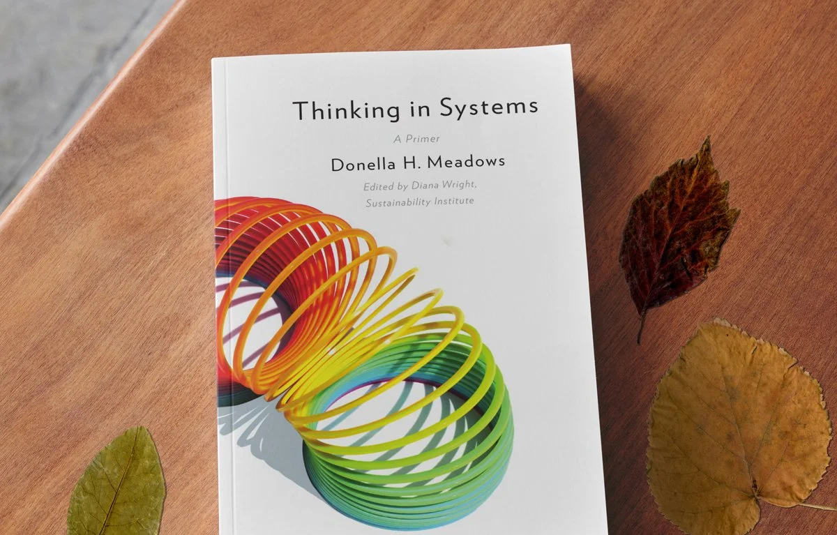 ThinkinginSystems-Mockup.jpg