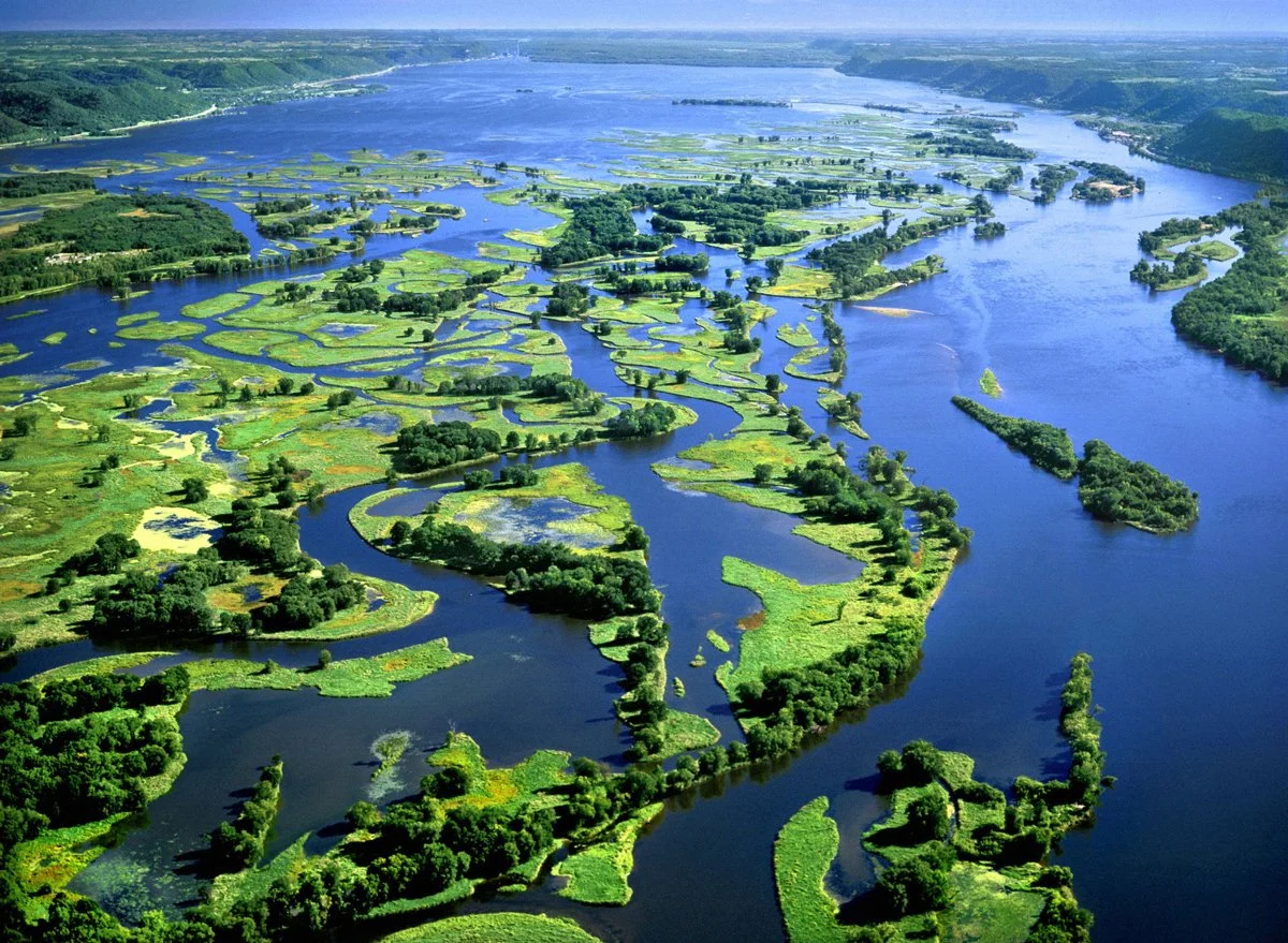 An overhead shot of a wide river, its green, forested banks, and many islets and islands spread throughout the river.