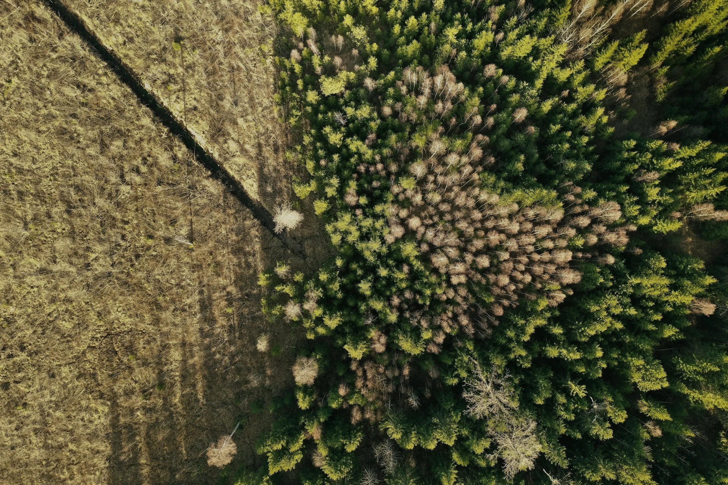 Uuden ympäristörikosdirektiivin kansallinen täytäntöönpano johtaa rikosvastuun ankaroitumiseen